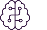 brain circuit